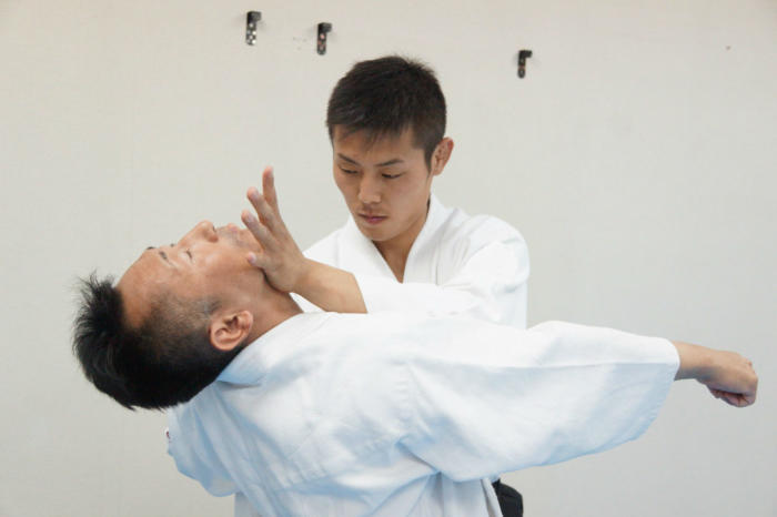 Самые общие правила спаррингов в японских боевых искусства. Удары руками, ногами, броски и болевые приемы, как рассчитывается нокдаун. 