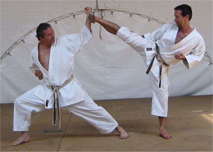 4 Техники выполнения ударов ногами в каратэ