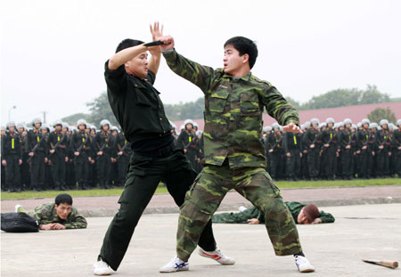 Какие боевые искусства есть во Вьетнаме