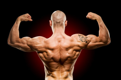 Сильные мышцы спины - это залог здоровья