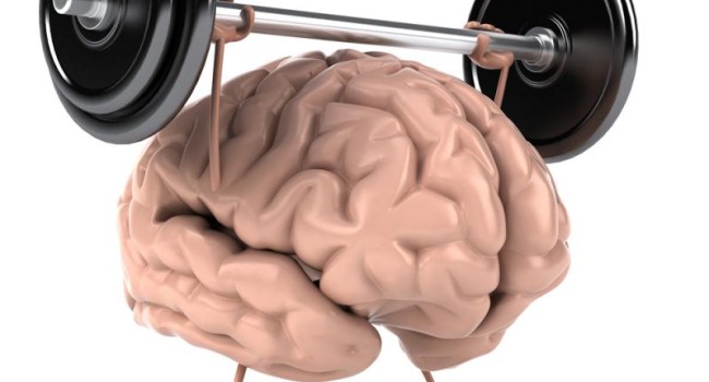 Связь мозга с мышцами